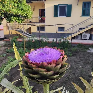 Antoniet Bed & Breakfast Napoli